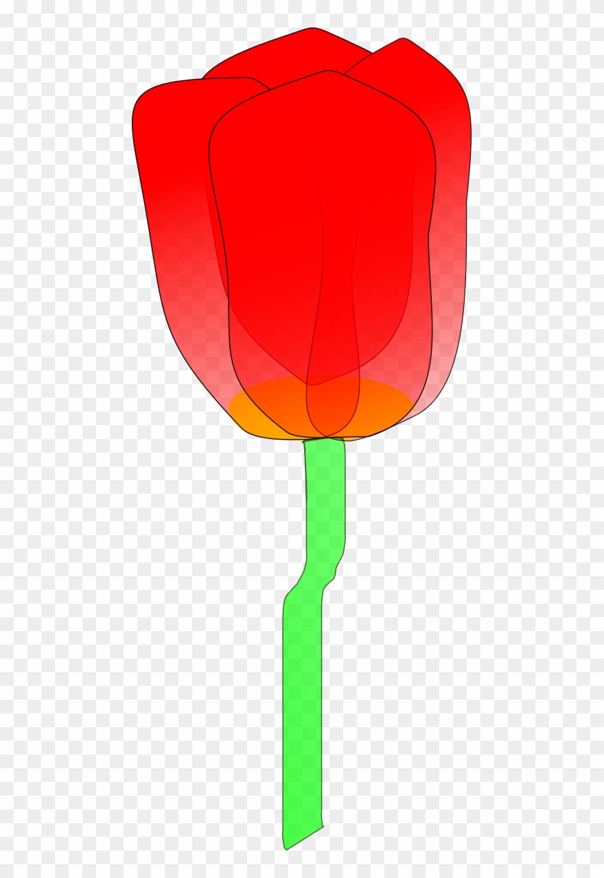 Tulip Clipart By Machovka - Clip Art - Png Download