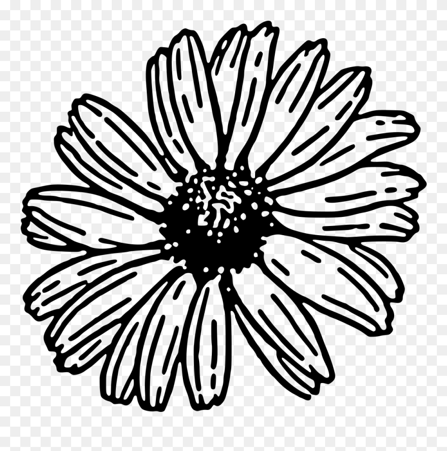 Black And White Daisy Clipart - Png Download