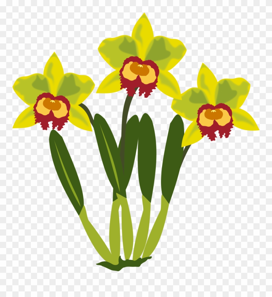 Flower Computer Icons Cattleya Orchids Paper Clip - Orchids - Png Download