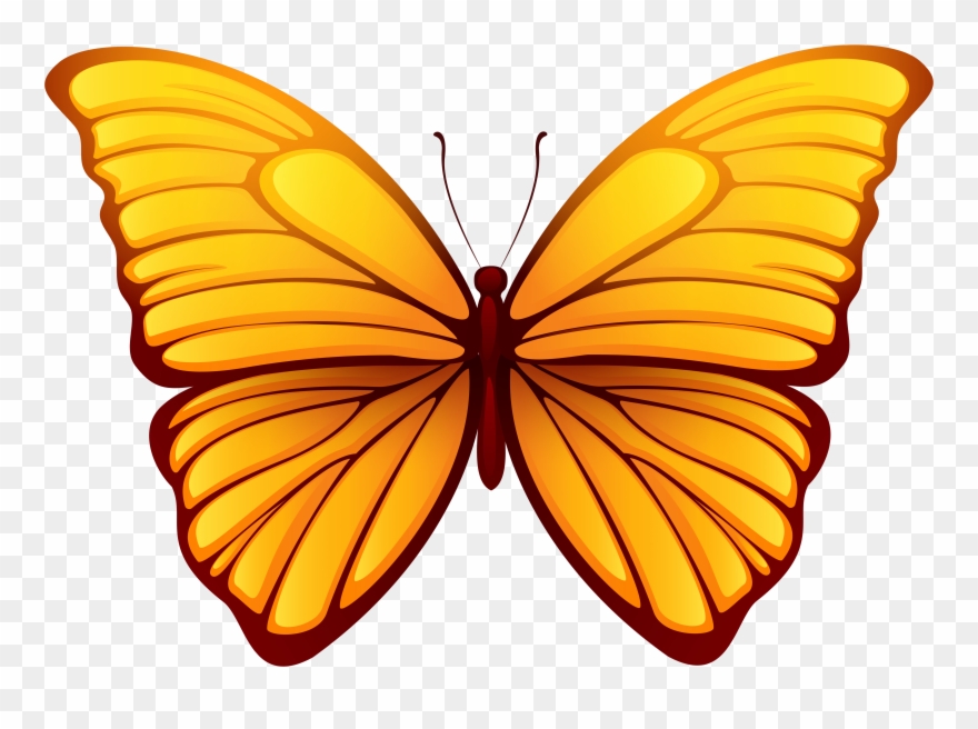 Butterfly Png Clipart