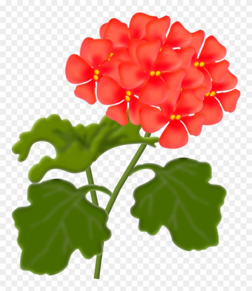 Tubes - Lantana Png Clipart