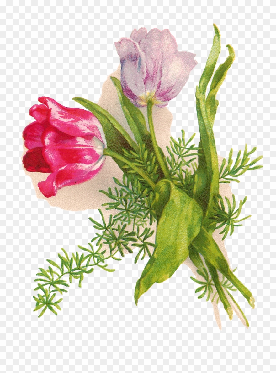 Easter Bunny Wedding Invitation Greeting & Note Cards - Vintage Easter Flower Clipart