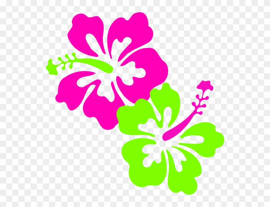 Download Hibiscus Pink Lime Green Clip Art At - Pink And Lime Green Flowers - Png Download