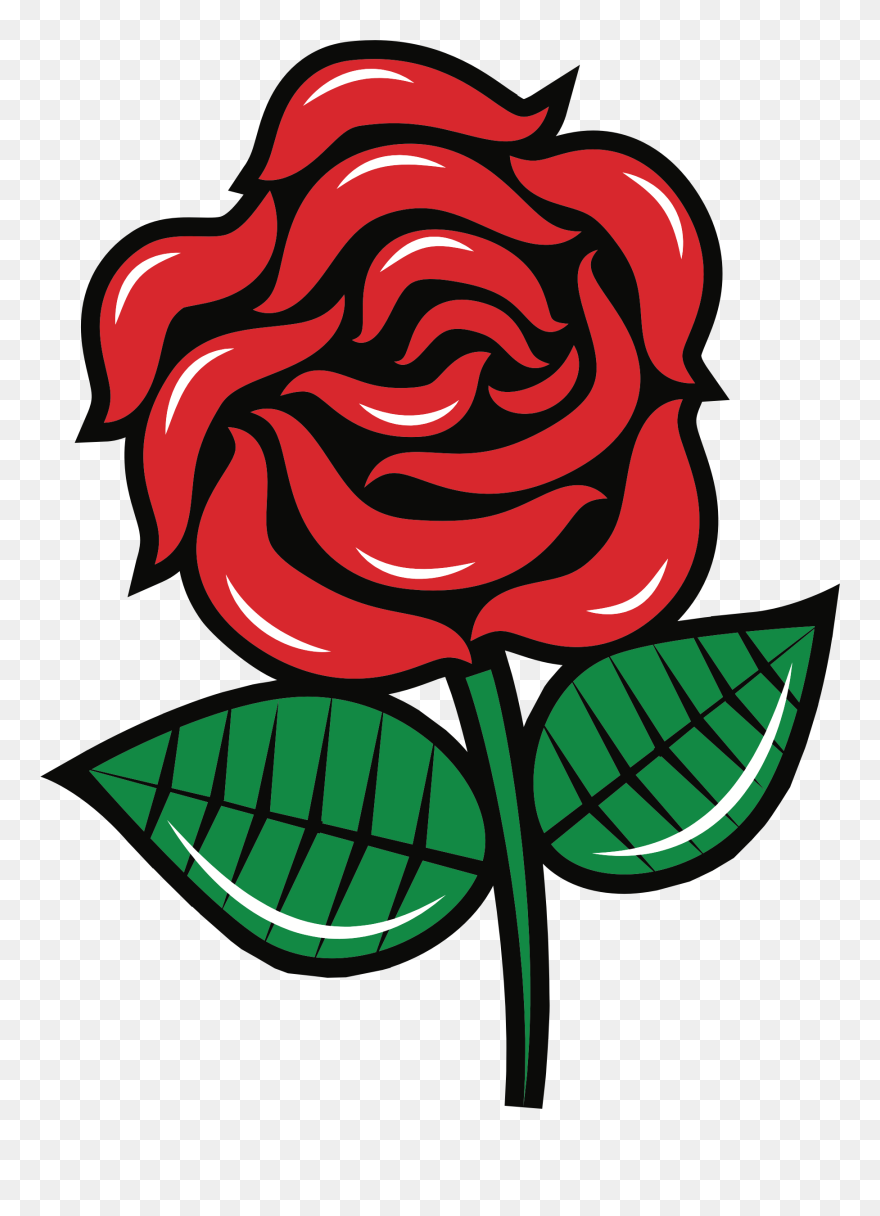 All Photo Png Clipart - Vector Stickers Illustration Png Transparent Png