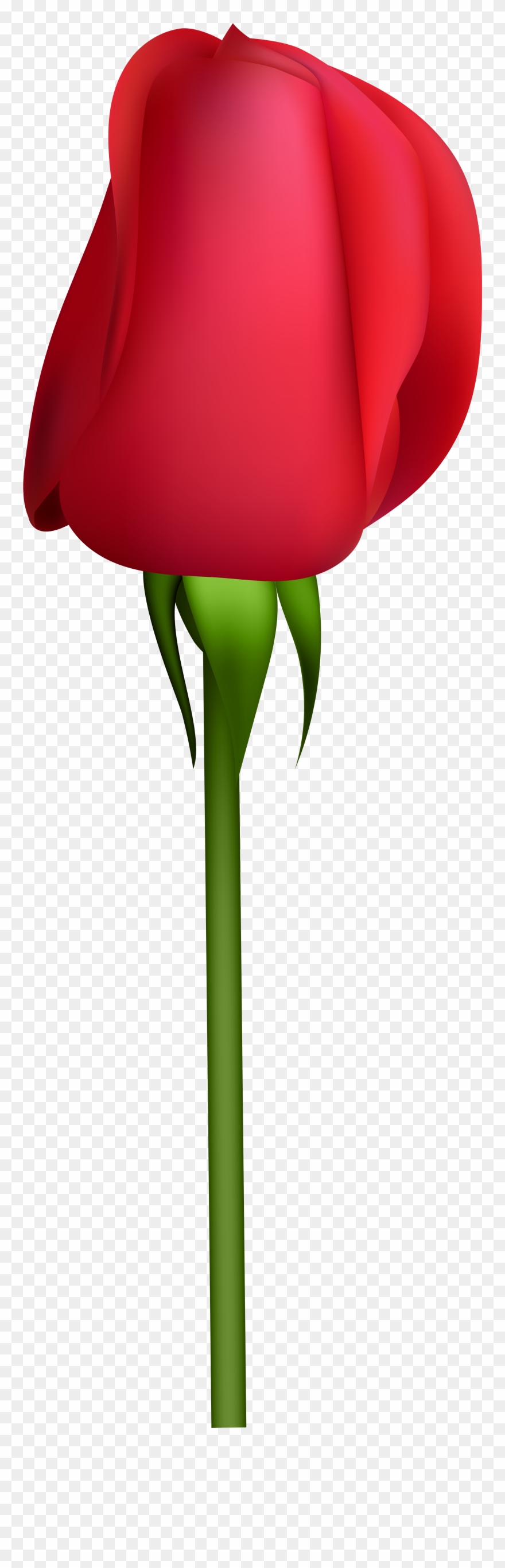 Bud Clipart - Png Download