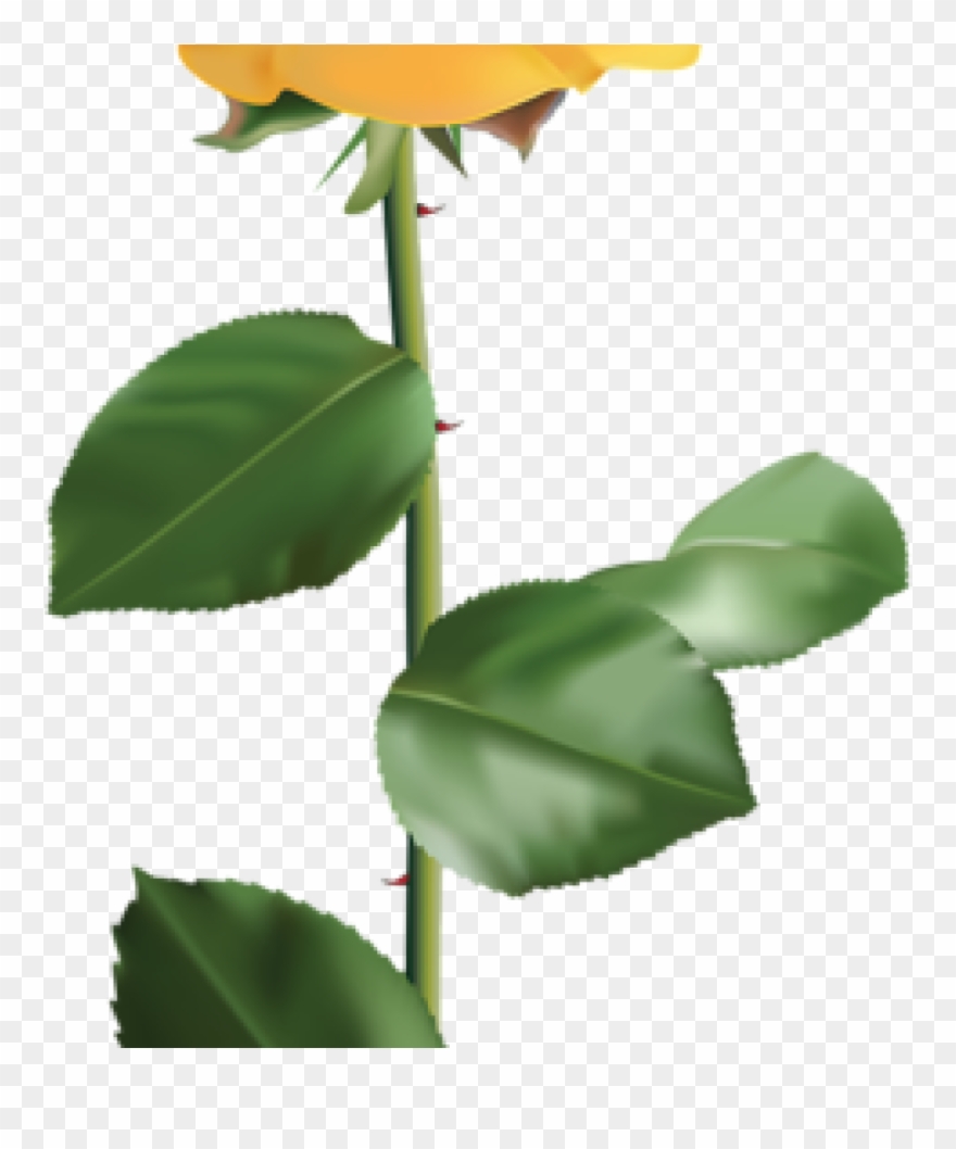 Yellow Rose Clipart Vintage Yellow Rose Encode Clipart - Yellow Flower With Stem Transparent - Png Download