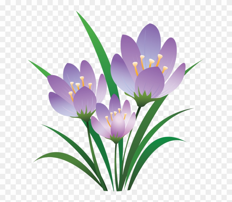 Art Pictures, Rose, Color Mixing, Beautiful Flowers, - Eid Ul Fitr 2018 Quotes Clipart