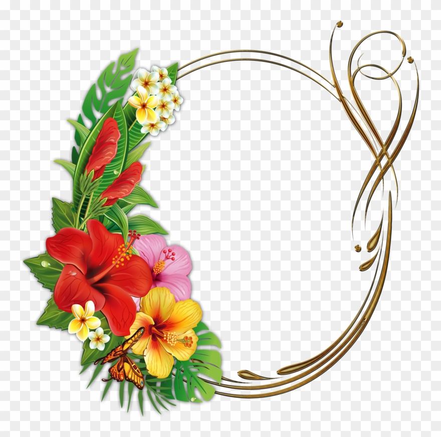 Фотки Borders And Frames, Flower Frame, Havaianas, - Frame Tropical Png Clipart