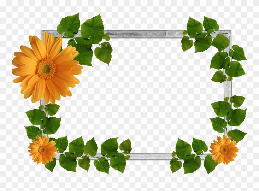 Flower Frame Png, Wallpaper Backgrounds, Nature Plants, - Leaf Frame Png Clipart