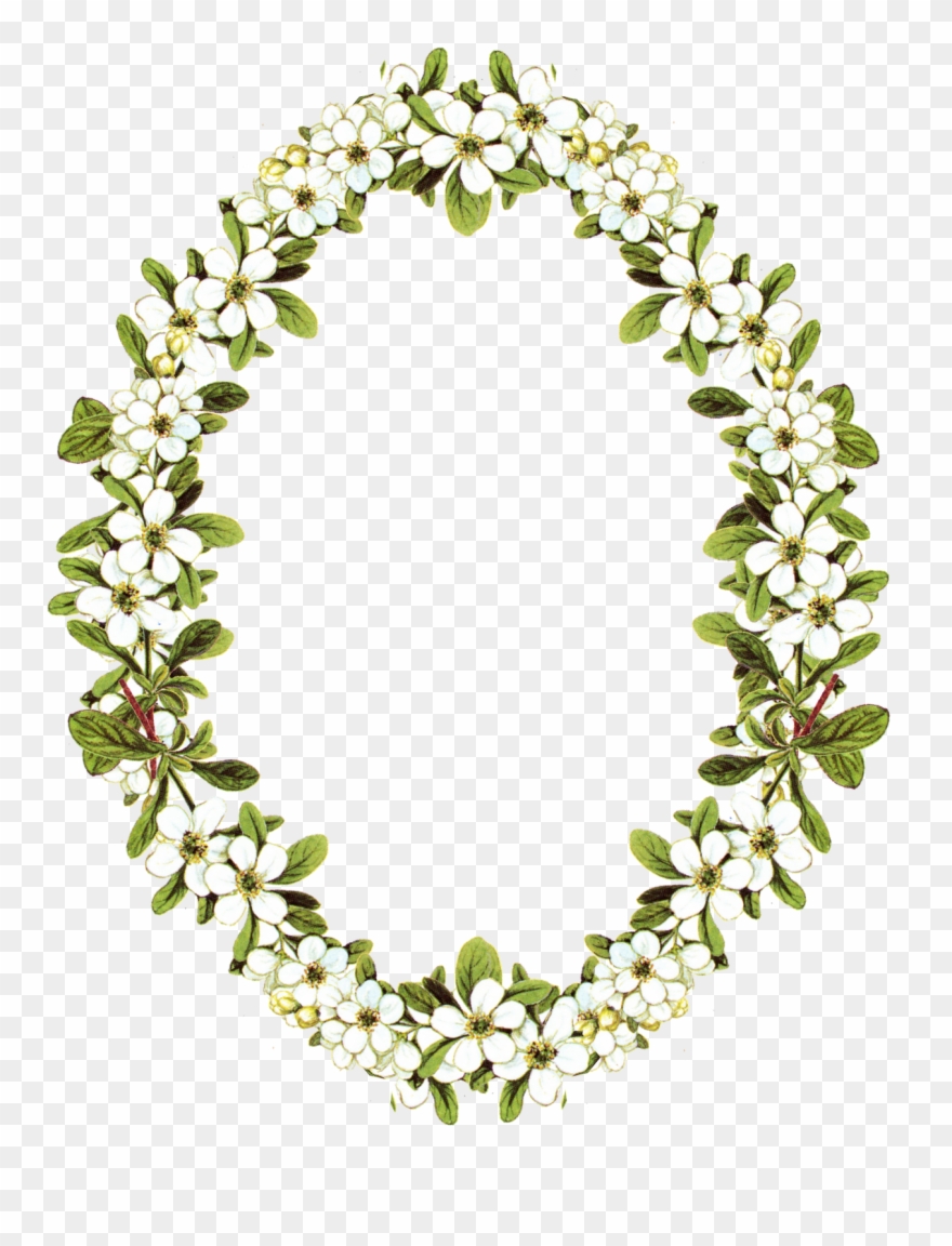 Floral Clipart Oval Frame - Oval Flower Frame Png Transparent Png