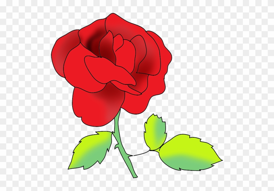 Flower Image Gallery Red Rose - Gallery Red Clipart