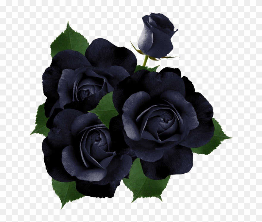 ♛ Christine Staniforth ♛༻ - Черные Розы Png Clipart