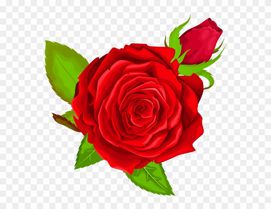 Red Rose Decorative Png Clip Art Image - Pink And Purple Roses Art Transparent Png