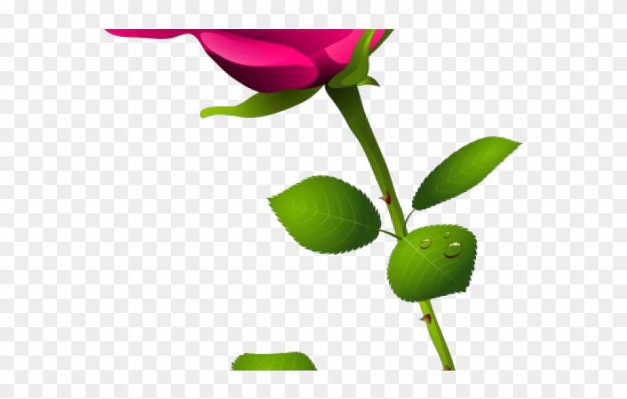 Bud Clipart Painted Rose - Cliparts Transparents Roses Rose - Png Download