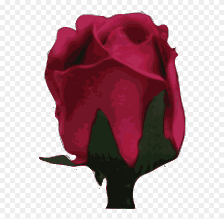 Garden Roses Cut Flowers Red - Clip Art - Png Download