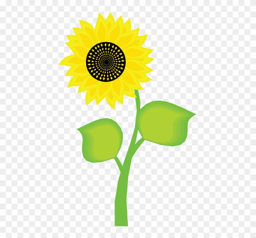 Sunflower Clipart Bunga Matahari - Marketing Principles 2nd Edition - Png Download