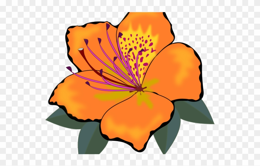 Orange Flower Clipart One Flower - Orange Flower Clipart - Png Download