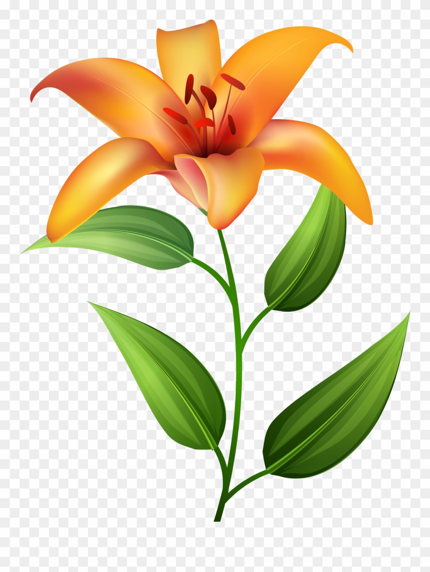 View Full Size Clipart