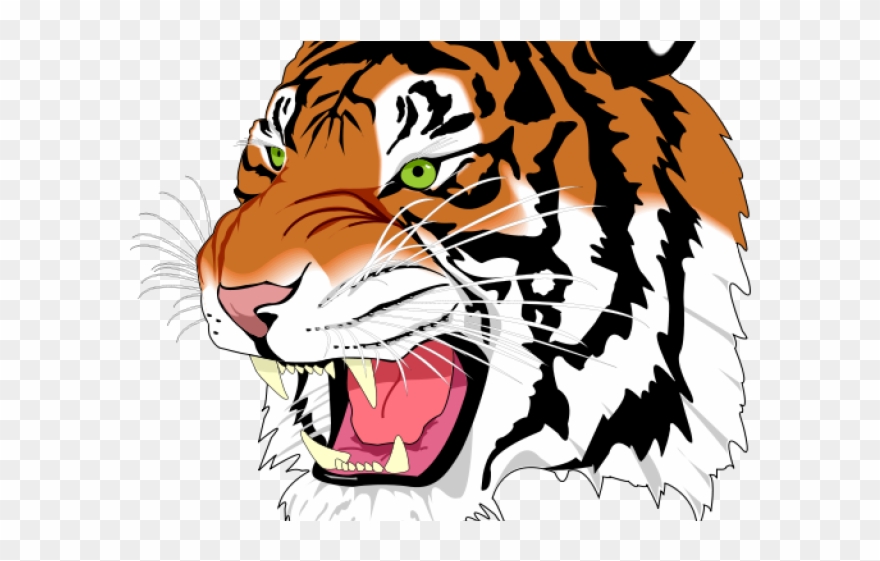 Transparent Background Tiger Clipart - Png Download