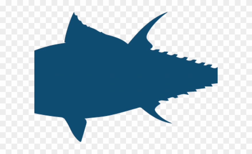 Grouper Clipart King - Tuna Clip Art - Png Download