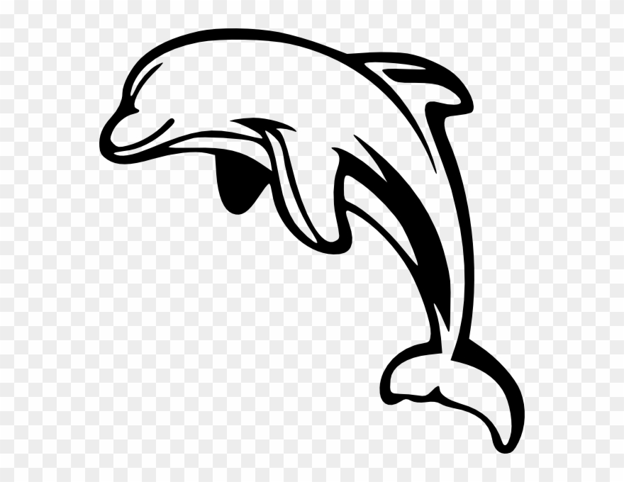 Dolphin Art Black White Clipart