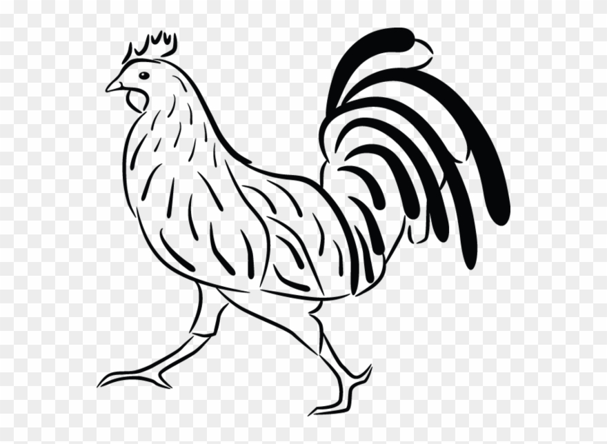 Chicken Clipart Images, Silhouette Cameo Projects, - Red Rooster Tile Coaster - Png Download