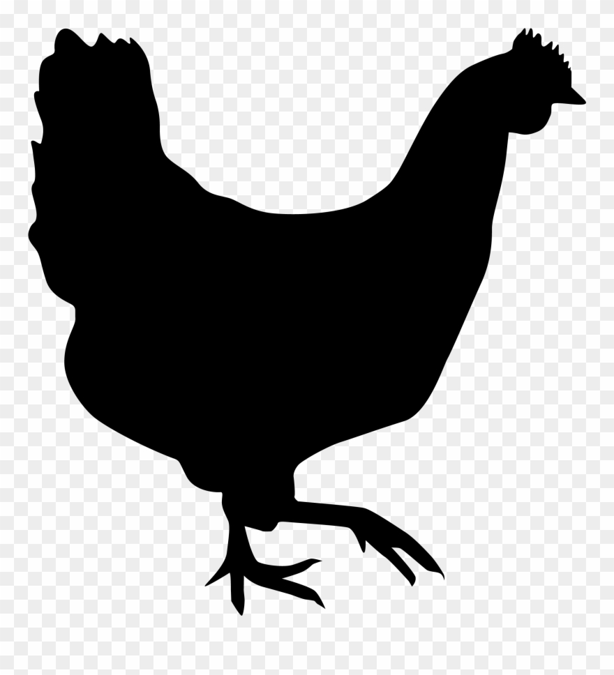 Clip Transparent Library Chicken Silhouette Clipart - Pollo En Silueta - Png Download