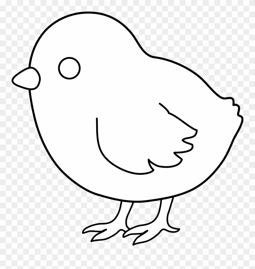 Baby Chick Line Art - Free Coloring Baby Chick Clipart