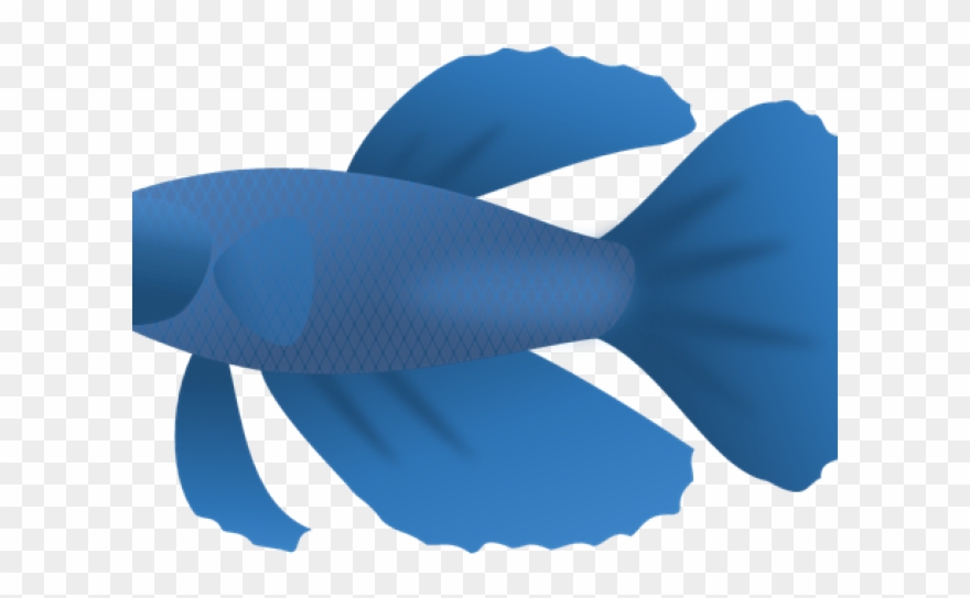 Marine Fish Clipart Nemo Fish - ベタ の ヒレ - Png Download