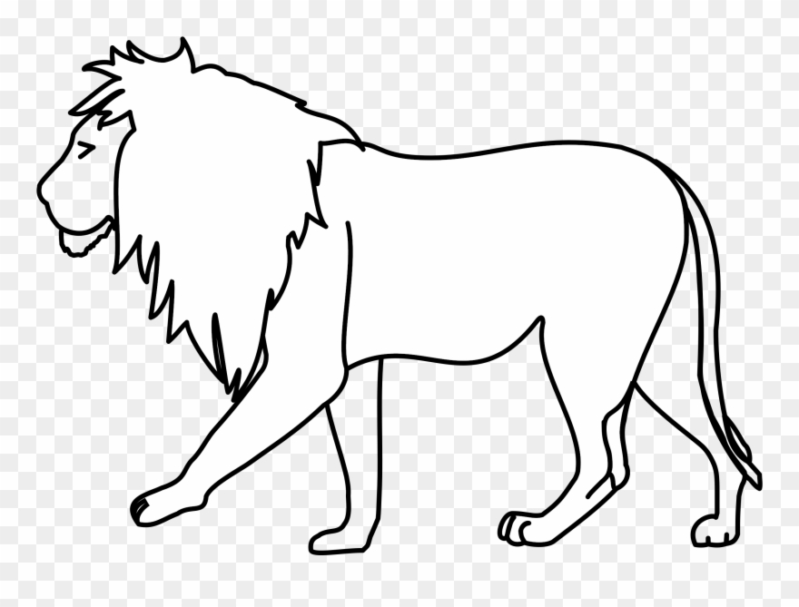Lion Drawing Line Art Pencil - Lion Line Drawing Clipart