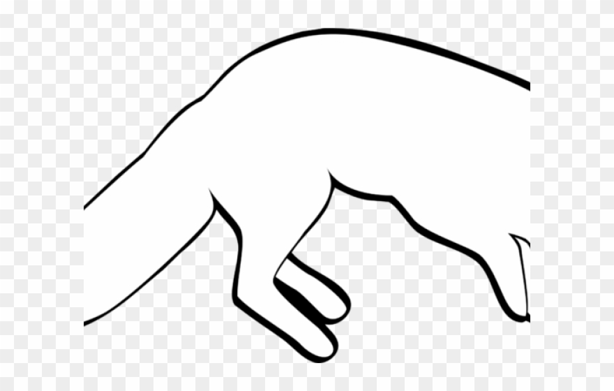 Polar Fox Clipart Color - Fox - Png Download