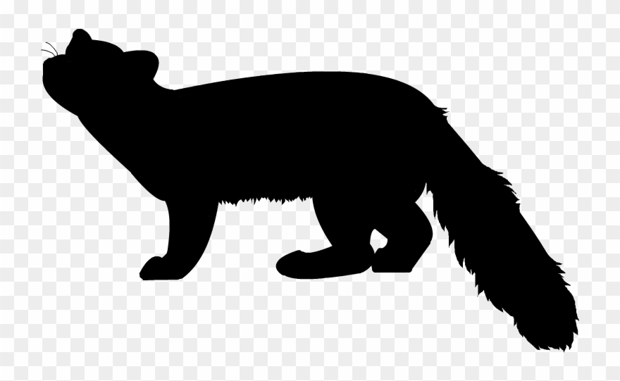 Clipart Info - Pine Marten Silhouette - Png Download