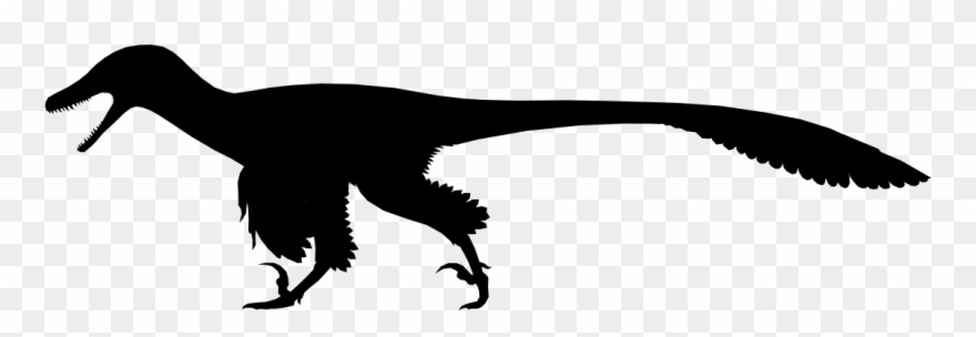Simple Dinosaur Silhouette - Dromaeosaur Silhouette Clipart