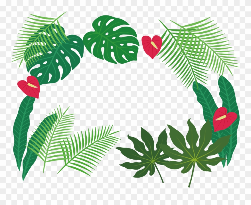 Clip Art Plant Leaves - Tropical Leaves Clip Art - Png Download