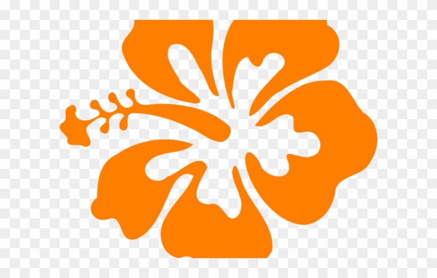 Orange Flower Clipart Hibiscus - Hawaiian Flowers Clip Art No Background - Png Download