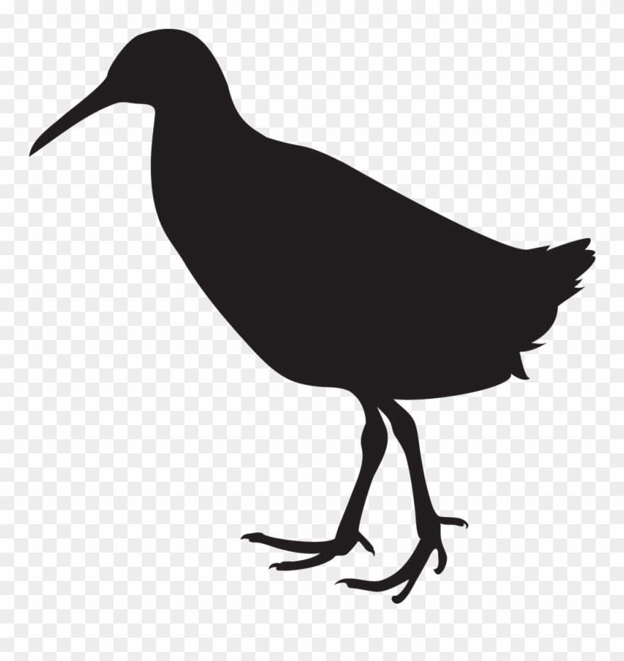 Sora - Clapper Rail Silhouette Clipart