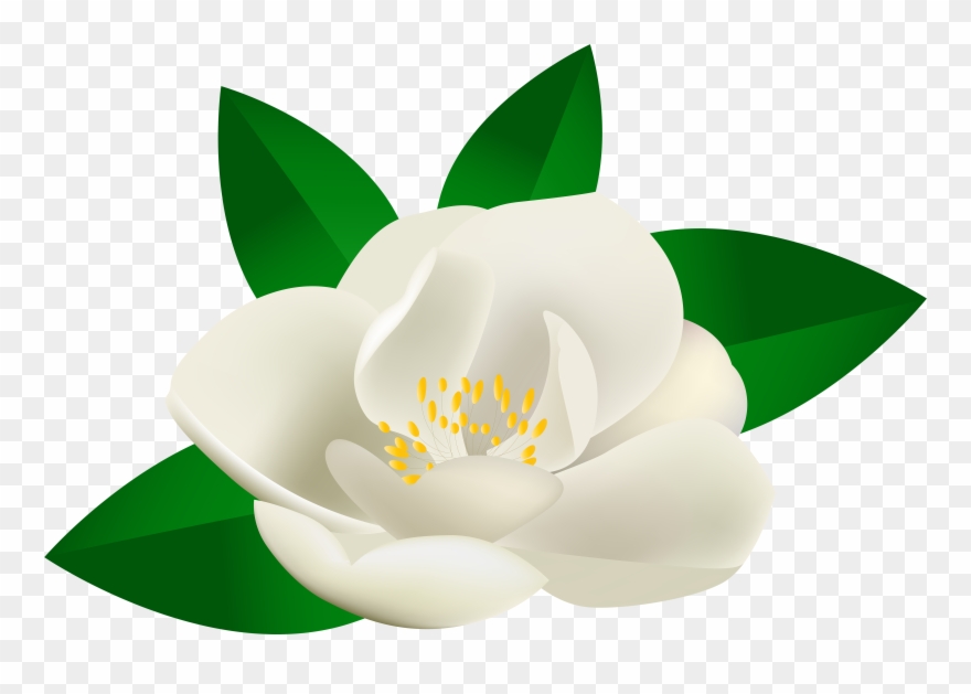 Illustration Clipart