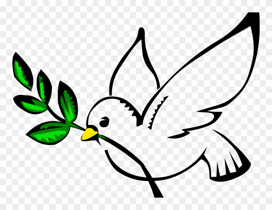 Dove Clip Art - Olive Branch Petition Drawing - Png Download