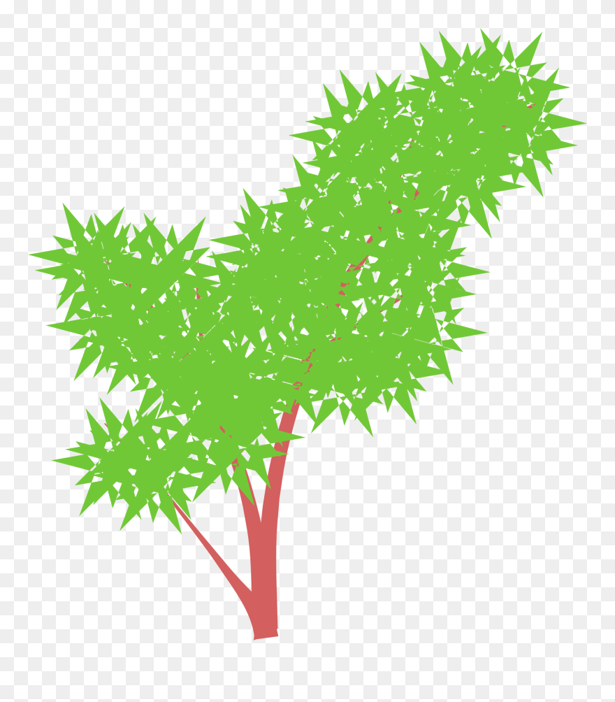 Free Tree - Tree Clipart