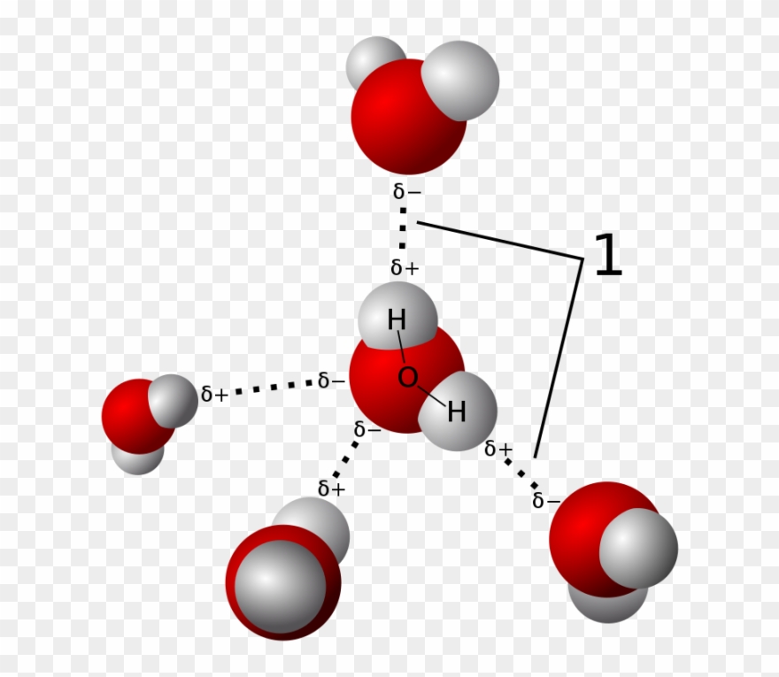 Credit - Wikicommons - Hydrogen Bonding Clipart