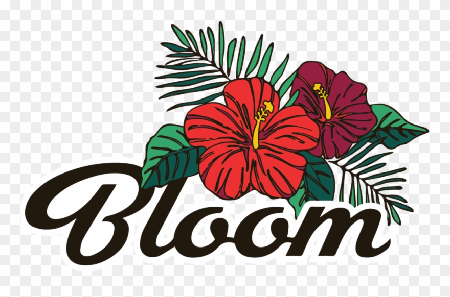 Hibiscus Clipart Shrub - Hawaiian Hibiscus - Png Download