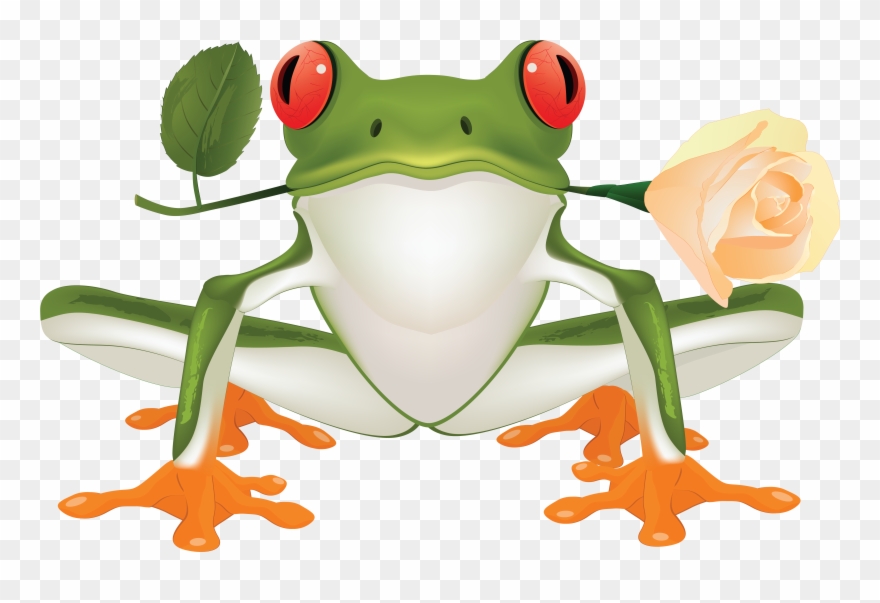 Herbivorous Clipart Frog - Frog Vector - Png Download
