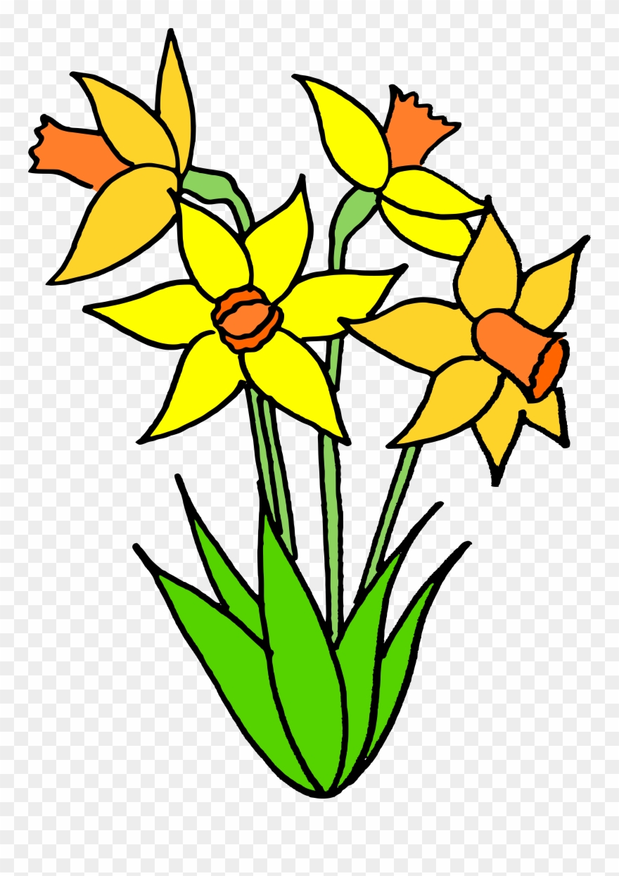 Flower Clipart Name - Spring Bulb Clip Art - Png Download
