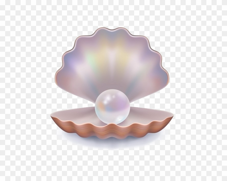 Pearl Background Png - Open Clam Shell Clipart