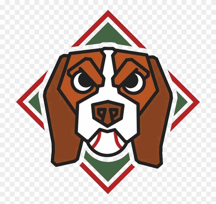 D Crunch Kpop Logo Clipart