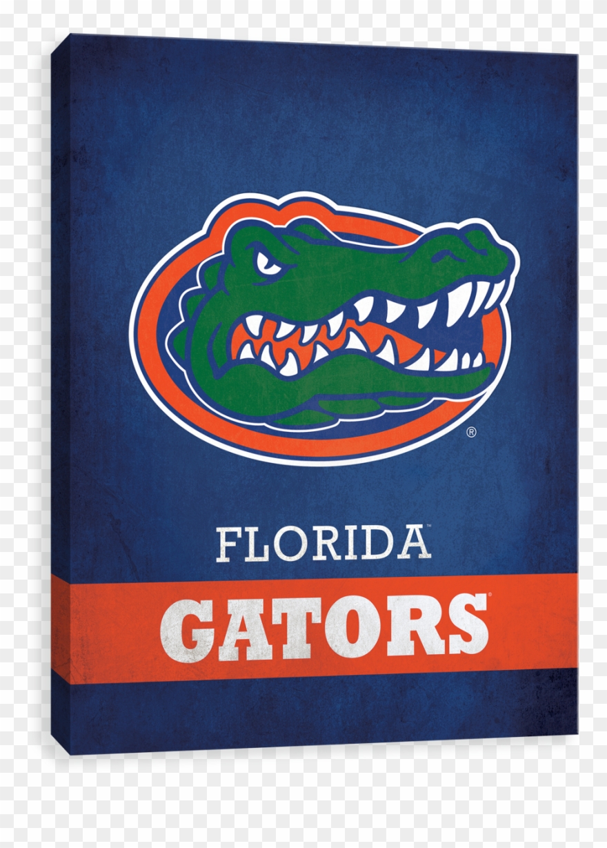 Florida Gators Png - Seminoles Vs Gators House Divided Clipart