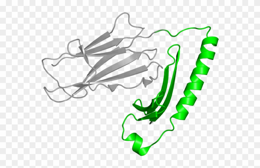 Illustration Clipart