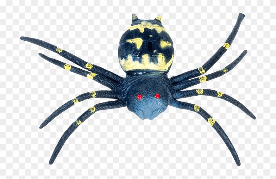 Free Png Images - Spider Web Clipart