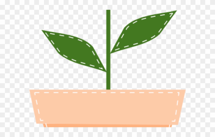 Flowerpots Clipart Tulip - Clip Art - Png Download