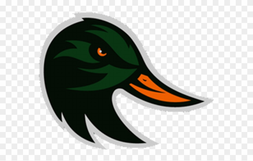 Taylor Ducks Logo Clipart